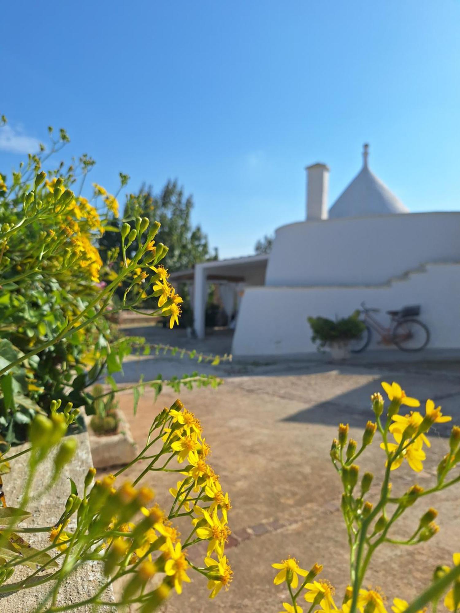 Holiday Home Trullo Antico Ostuni Luaran gambar