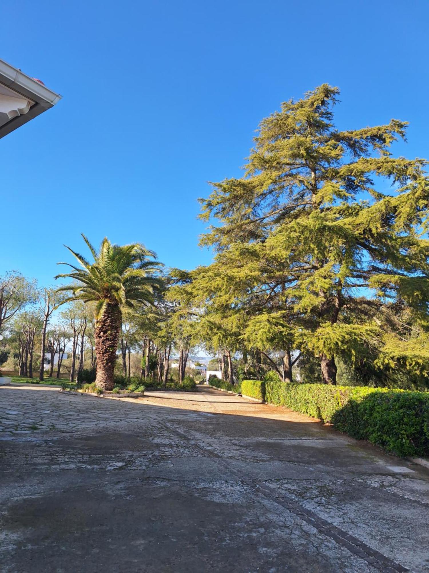 Holiday Home Trullo Antico Ostuni Luaran gambar